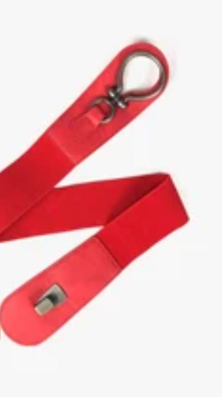 Red eye stretch belt with silver tone hardware.